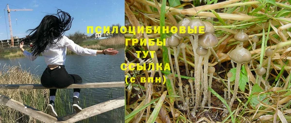 первитин Богородск