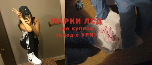 дмт Богданович