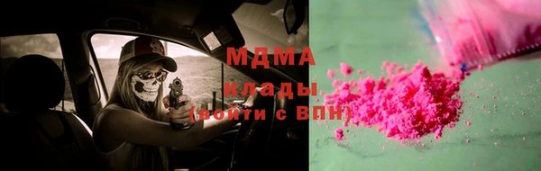 дмт Богданович