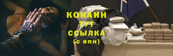 дмт Богданович