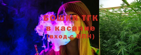 дмт Богданович