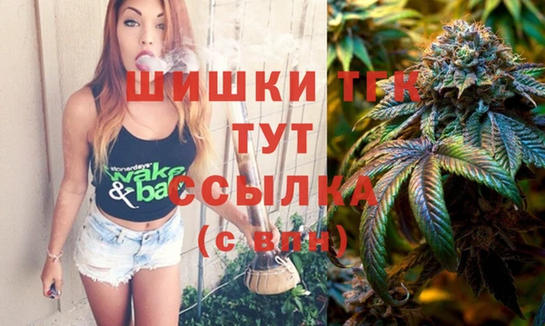 дмт Богданович