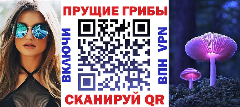 Купить  Плавск  Галлюциногенные грибы мицелий 